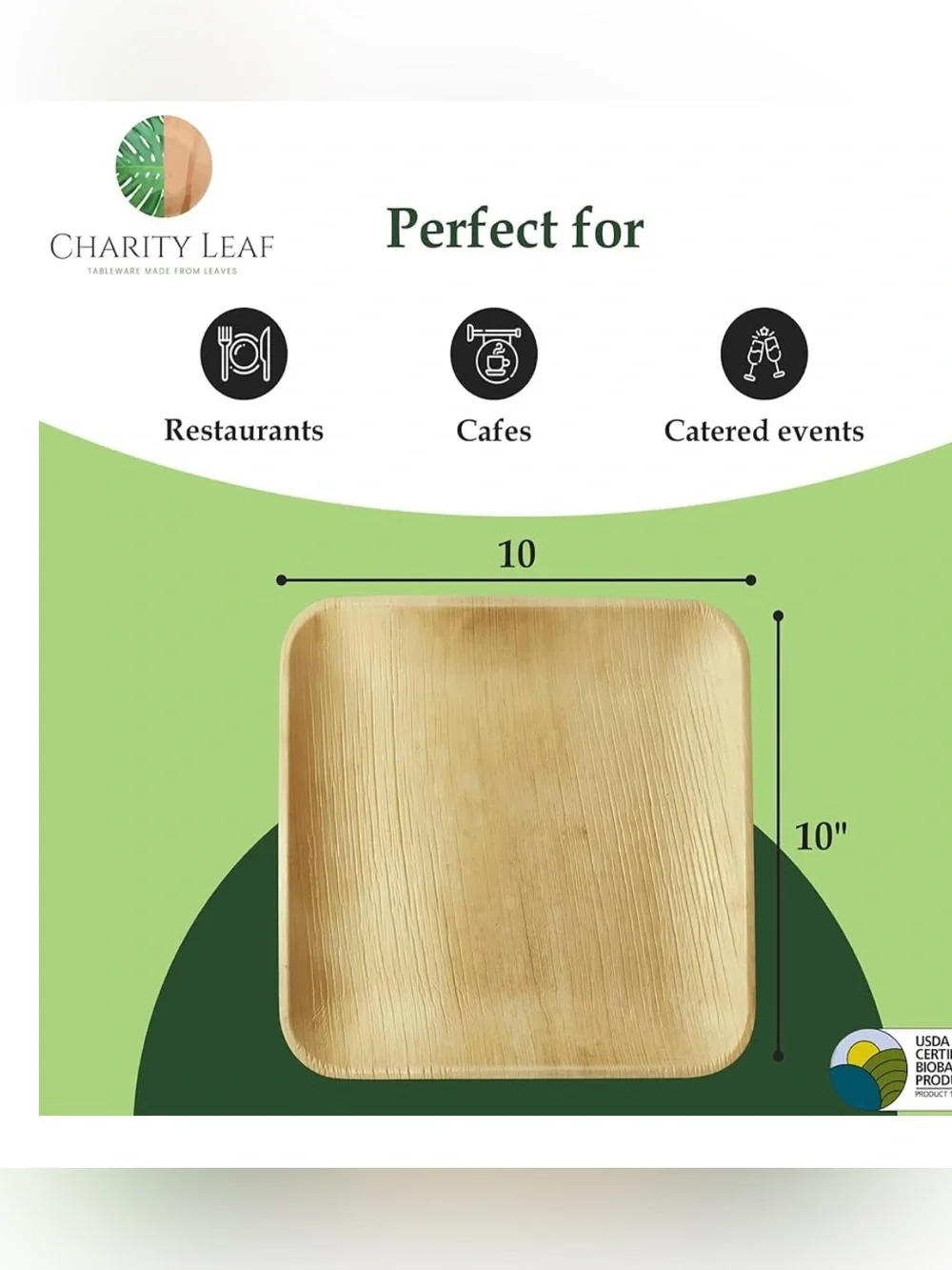 Palm Leaf Plates 50 Count 10x10 Compostable Bridal Shower Party Eco